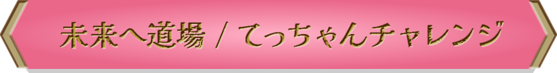 てっちゃんチャレンジ